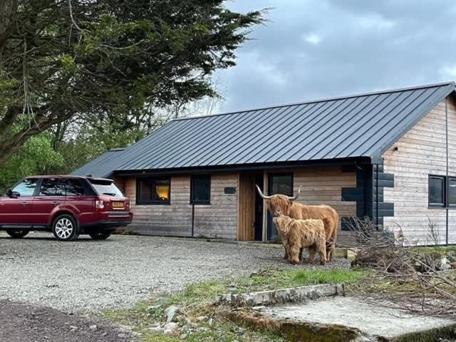 New Build Lodge With Stunning Views Of Loch Awe Hayfield  Exterior photo